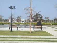 Hình ảnh Đất biển vị trí đắc địa, giá rẻ không ngờ