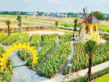 Hình ảnh The Sol City phân kỳ 2- bán 3 nền giá nội bộ, giá bất ngờ