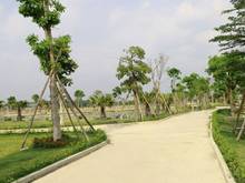 Hình ảnh Kẹt tiền nhượng gấp lô đất Trung tâm Bến Cát