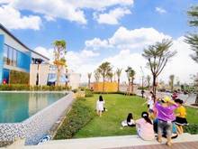 Hình ảnh Đơn vị phân phối độc quyền khu Shophouse của dự án The Sol City