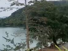 Hình ảnh Bán đất có sẵn nhà cấp 4 Trung Hòa, Tân Lạc, Hòa Bình.