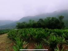 Hình ảnh Bán 2,8ha đất giá Trang MB66.COM Chính Thức - MB 66 Uy Tín tại Liên Sơn - Lương Sơn view hồ cực đẹp.