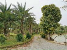 Hình ảnh Dự Án Đất Nền Có Sổ Đỏ Từ Sơn Garden City