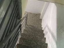 Hình ảnh Hẻm Lạc Long Quân, P10, TB. 60m2 - 2. Giá 4.6tỷ.