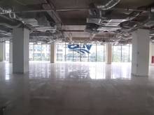 Hình ảnh MP đường Phạm Ngọc Thạch, 400m2x3 tầng, MT 20m, sàn thông, 100tr/tháng