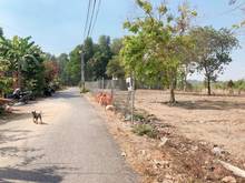 Hình ảnh Bán đất Cù lao Phố Hiệp Hòa - vị trí trung tâm Tp Biên Hòa