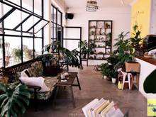 Hình ảnh Cho thuê n.c Mặt tiền Nguyễn Tri Phương