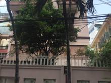 Hình ảnh Bán gấp Biệt Thự hẻm 6m, Q.3, Hầm, 3 lầu. Cn: 122m2 giá: 19 tỷ TL.