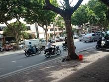 Hình ảnh Bán Nhà Mặt Phố Cao Bá Quát, Ngay Ngã Tư Hoàng Diệu, 50m2 x5T, MT 5.2m