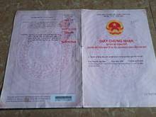 Hình ảnh Chính chủ bán nhà ngõ hẻm Đ. Phạm Văn Bạch, P15, Q.Tân Bình – Giá tốt