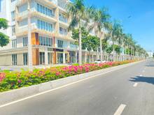 Hình ảnh Cần cho thuê sàn đẹp khu Sari Town Sala