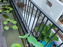 Hình ảnh Bán gấp nhà mặt tiền đường Lê Thánh Tôn, P.Bến Thành, Q.1. DT: 4,5x19m