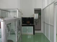 Hình ảnh Cho thuê phòng đẹp 156/49 đường Phú Thọ Hòa-Tân Phú, chỉ 2tr/tháng