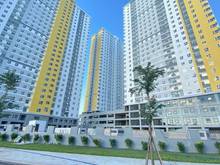 Hình ảnh Cho Thuê Trang Chủ MB66.COM Chính Thức Giá tốt nhất khu vực Quận 8 MỚI 100%