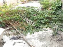 Hình ảnh Bán đất 5*20m HXH đường Bùi Minh Trực Phường 5 Quận 8
