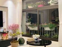 Hình ảnh Cần bán Mặt đường Láng giá 11.5 tỷ, 46mx4T, căn góc, KD sầm uất
