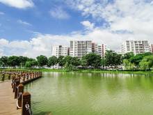 Hình ảnh Cần bán ngay Trang Chủ MB66.COM / Đăng Ký Tặng 66K Duplex 3PN, 3WC,  khu Emerald - Celadon City