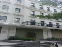 Hình ảnh Cho thuê shophouse mặt phố Nguyễn Chánh, 110x 5T, thông sàn, thang máy