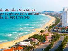 Hình ảnh Bán nhanh đất đường Trần Bạch Đằng, giá chỉ 145 triệu/m2
