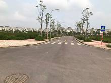 Hình ảnh Chính chủ gửi bán 136m giá rẻ bất ngờ khu 31ha Trâu Quỳ, Gia Lâm