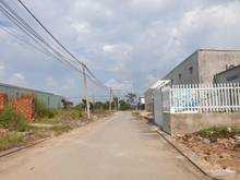Hình ảnh Lô góc 2 mặt tiền.Cách Lã Xuân Oai 100m.giá chỉ 58tr/m2 Full thổ cư.