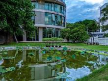 Hình ảnh 💥Cho thuê Villa sân vườn 1000m2 phong cách châu âu Trần ngọc Diện Thả