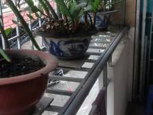 Hình ảnh Chung cư full nội thất 2PN 60m2 368/7 Phan Văn Trị