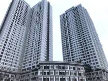 Hình ảnh PKD: Mb6623 nạp rút nhanh chóng Sunrise city View chuyên cho thuê nhiều căn giá tốt.