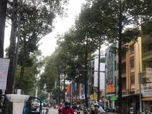 Hình ảnh Bán nhà mt đường lý tự trọng , p . bến thành, Q1. Dt : 4 x 20m