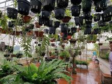 Hình ảnh Mặt phố Biệt Thự Sông Đà 300m2, lô góc đẹp víp kinh doanh 24/24
