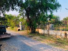 Hình ảnh Đất biệt thự vườn View sông - kế nhà thờ tổ Hoài Linh,Q9.Dt:1400m2