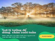 Hình ảnh nguồn thơm chỉ 400tr , sở hữu vị trí VIP nhất ngay đồi chè Tâm Châu