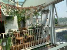 Hình ảnh Bán Shop Scenic Valley 2 Phú M Hưng Q.7 , DT : 95m giá 5.5 tỷ