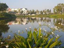 Hình ảnh Cho thuê nhà phố Park riverside quận 9 siêu sang trọng