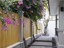 Hình ảnh 🔰 Villa Hồ bơi sân vườn Trần não Bình An Quận 2 Thiết kế hiện đại 440