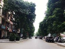Hình ảnh bán nhà phố vạn phúc, liễu giai, ba đình, hà nội