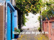 Hình ảnh Bán nhà đường Nguyễn Văn Nghi P7 Gò Vấp 36M2 GIÁ CHỈ 2tỷ85
