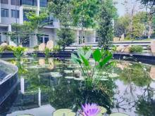 Hình ảnh Bán Nhà Phố Phong Cách Resort Chỉ Thanh Toán 15 % Được Nhận Nhà!