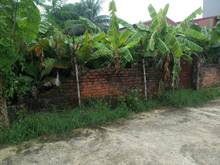 Hình ảnh Đất mặt đê Vĩnh Ngọc, Kinh Doanh. DT: 170m2, MT 8m. Giá: 65tr/m2