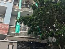 Hình ảnh Cho Thuê Nhà Phổ Quang  , P2, Q.Tân Bình, DT: 5x18, 3 lầu