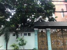 Hình ảnh Cho Thuê Biệt Thự  Phổ Quang, P2, Q.Tân Bình, DT: 10x25m, 2 lầu.