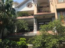 Hình ảnh Cho Thuê Biệt Thự  Nguyễn Minh Hoàng, P12, Q.Tân Bình, DT: 10x19m, 2l