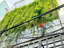Hình ảnh Nhà Khu K300 cần bán Gấp P.13 Q Tân Bình giá 8 tỷ 4