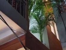 Hình ảnh Nhà Siêu Đẹp LÊ VĂN SỸ Phường  TÂN BÌNH 3 TẦNG GIÁ CHỈ 3 TỶ 65