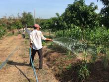 Hình ảnh Chủ nhà kẹt tiền nên cần bán nhanh lô đất 1000m2 giá 545tr, SHR ở ĐN.