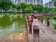 Hình ảnh Căn góc khu Alnata Plus, nằm ngay Đại lộ Gamuda, View biển & MB66 là nhà cái uy tín hàng đầu tại Việt Nam