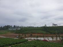 Hình ảnh Cần bán gấp lô đất giá rẻ. đất view đep