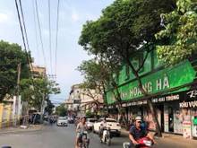 Hình ảnh Cho thuê gấp MT Đồng Đen, Tân Bình 6x18 - 5tầng DTXD 358m2 giá rẻ 40tr