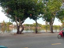 Hình ảnh Bán Thửa đất 7.600m2 Trần Xuân Soạn, phường Tân Hưng Quận 7