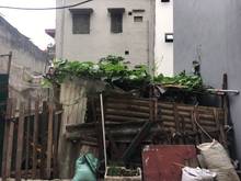 Hình ảnh Đất sổ đỏ 62m lô góc TDP Bình Minh kinh doanh tốt giá rẻ bất ngờ
